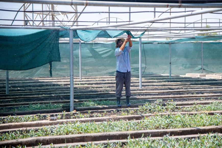 گامی دیگر در جهت حذف سموم و صیانت از محیط‌زیست