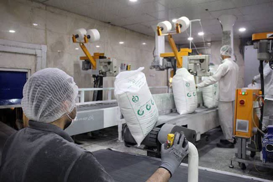 *۲۷۲ هزار تن شکر سفید به بازار عرضه شد / شکر تولیدی با قیمت مصوب و بدون وقفه در حال عرضه است*