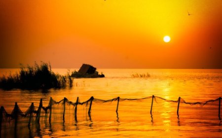 تالاب نیشکر؛ گنجینه‌ای ارزشمند در قلب خوزستان