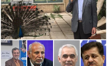 مشاورین عمارت فلسطین