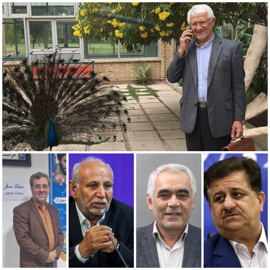 مشاورین عمارت فلسطین