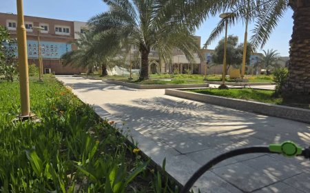 از سوی واحد فضای سبز مدیریت خدمات شرکت ملی حفاری ایران انجام شد : اجرای طرح آبیاری قطره ای در سطح ۸۰ درصد فضای سبز شرکت در راستای صرفه جویی در مصرف آب