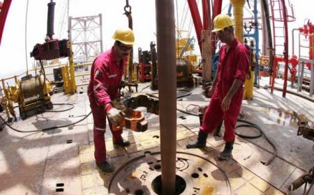 رشد ۶ درصدی ارائه خدمات فنی و ویژه شرکت ملی حفاری ایران